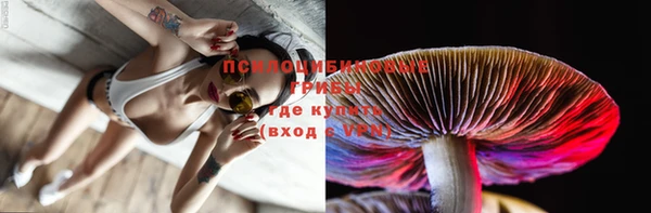 ПСИЛОЦИБИНОВЫЕ ГРИБЫ Алексеевка