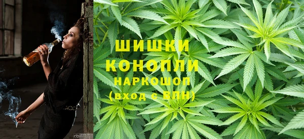 ПСИЛОЦИБИНОВЫЕ ГРИБЫ Алексеевка