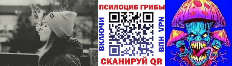 Галлюциногенные грибы GOLDEN TEACHER Ковылкино